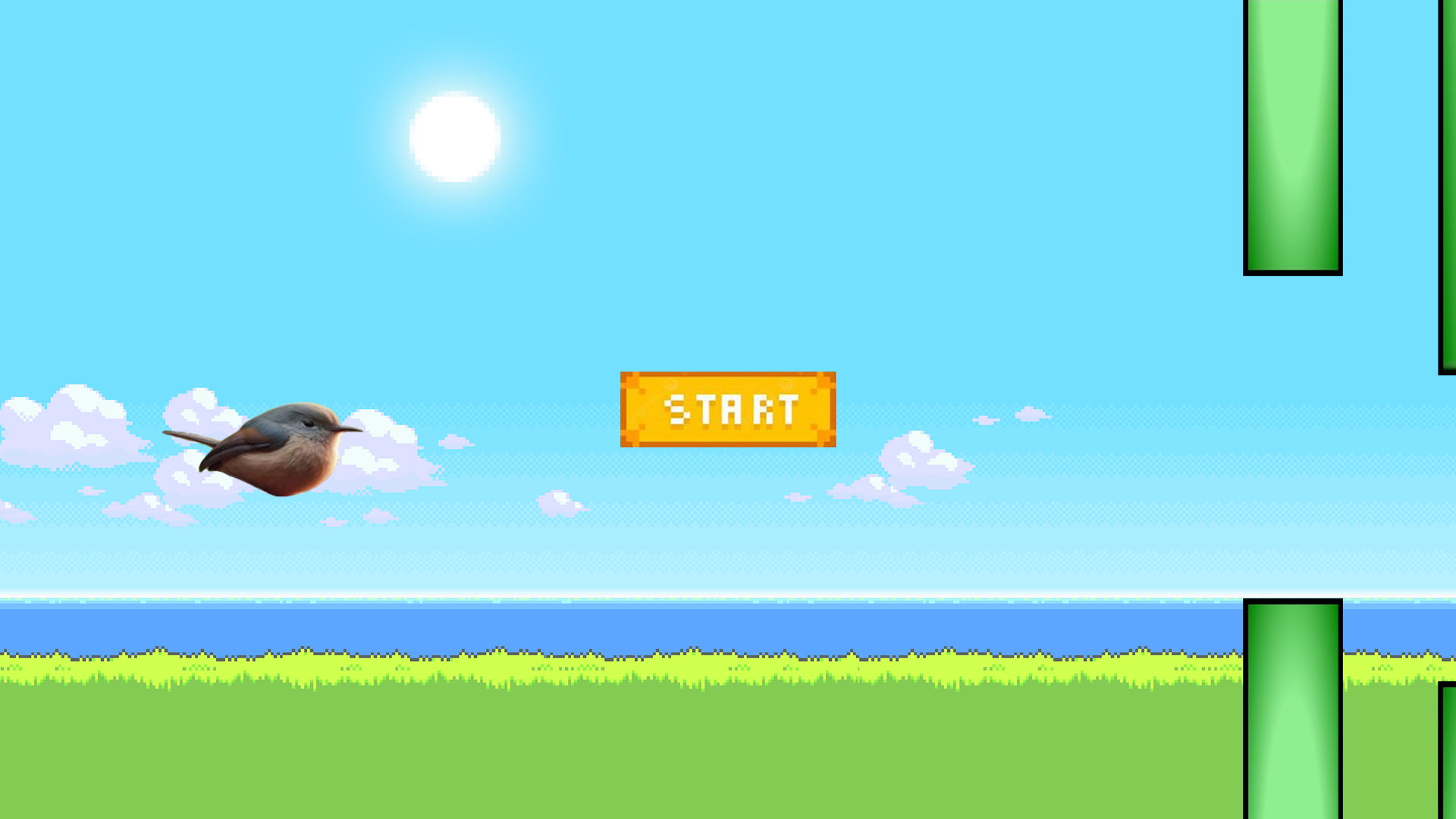 Play